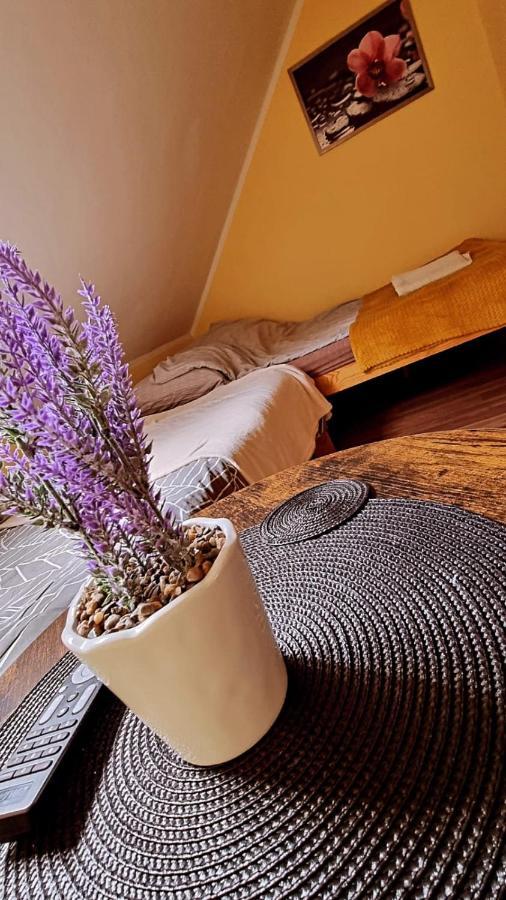 Lesne Klimaty Appartement Polańczyk Buitenkant foto